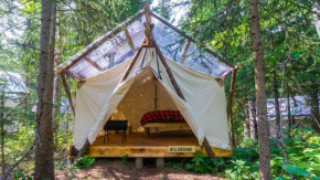 Camp Moose Trail
